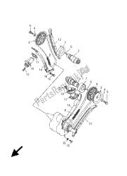 CAMSHAFT & CHAIN