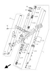 forcella anteriore