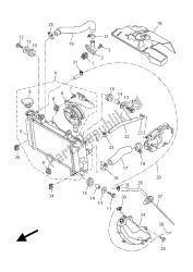 tubo del radiatore