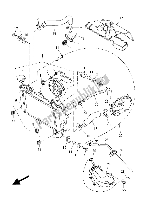 All parts for the Radiator & Hose of the Yamaha MT 125 2015