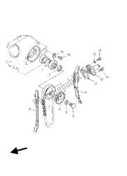 CAMSHAFT & CHAIN