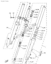 forcella anteriore