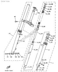 forcella anteriore