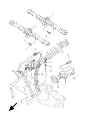 CAMSHAFT & CHAIN