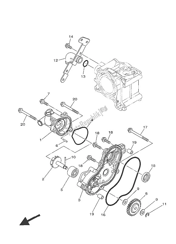 All parts for the Water Pump of the Yamaha MW 125 2016