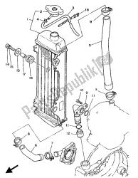 tuyau de radiateur