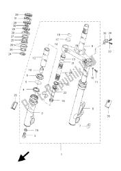 forcella anteriore