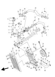 RADIATOR & HOSE