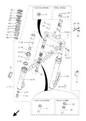 forcella anteriore