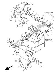 RADIATOR & HOSE