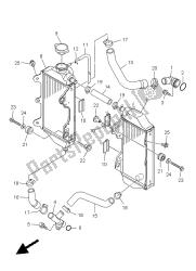 RADIATOR & HOSE