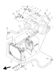 RADIATOR & HOSE