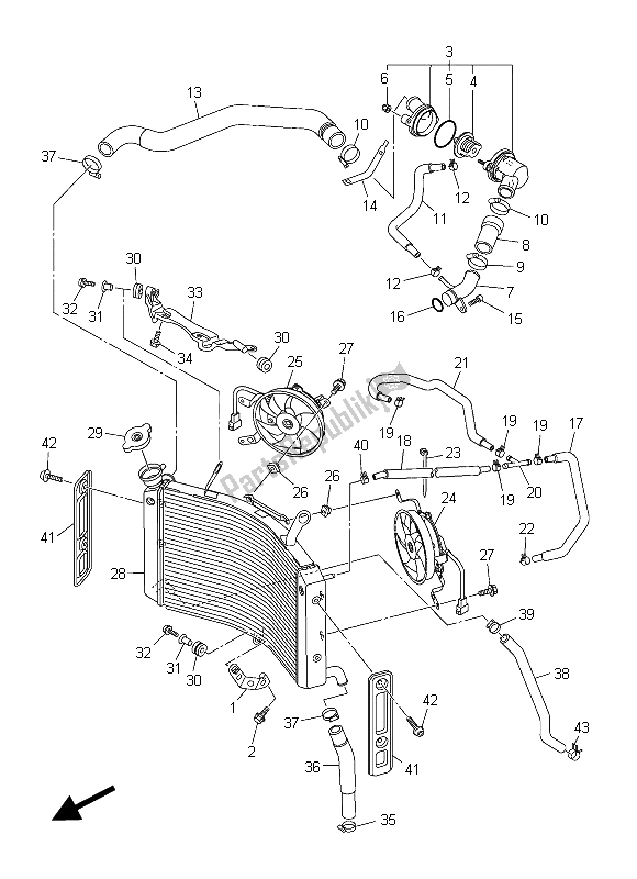 All parts for the Radiator & Hose of the Yamaha FZ8 SA 800 2015