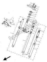 forcella anteriore