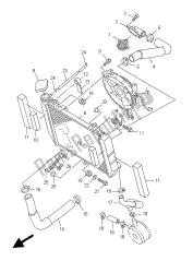 RADIATOR & HOSE