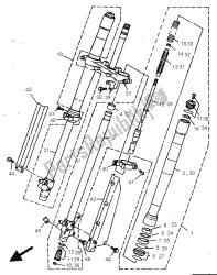 forcella anteriore