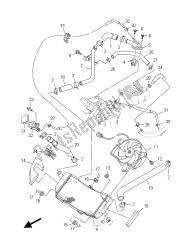 RADIATOR & HOSE