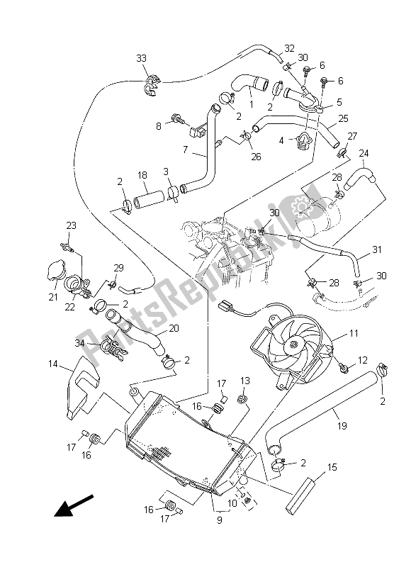 All parts for the Radiator & Hose of the Yamaha XP 500A 2015