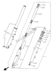 forcella anteriore