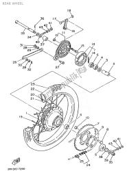 roue arrière