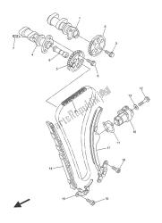 CAMSHAFT & CHAIN