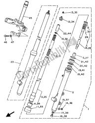 forcella anteriore