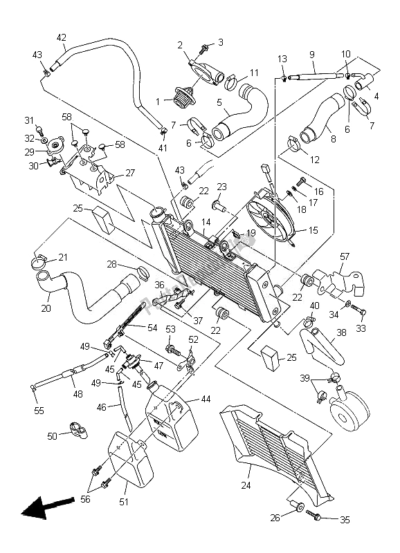 Alle onderdelen voor de Radiator Slang van de Yamaha XJ6 SA Diversion 600 2010