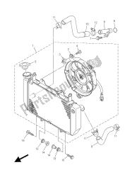 RADIATOR & HOSE