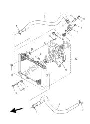 RADIATOR & HOSE