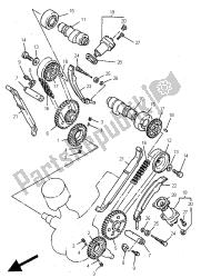 CAMSHAFT & CHAIN