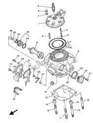 testata