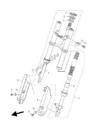 forcella anteriore