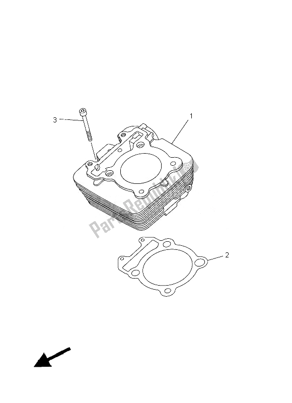 Tutte le parti per il Cilindro del Yamaha YFM 250R Raptor 2013