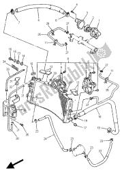 RADIATOR & HOSE