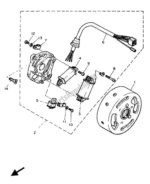 Alle onderdelen voor de Generator van de Yamaha PW 50 1991