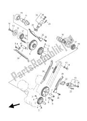 CAMSHAFT & CHAIN