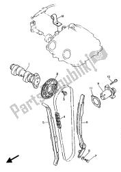 CAMSHAFT & CHAIN