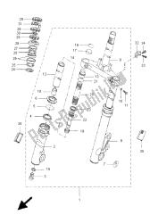 forcella anteriore