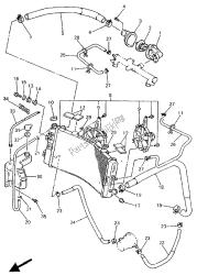 RADIATOR & HOSE