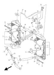 RADIATOR & HOSE