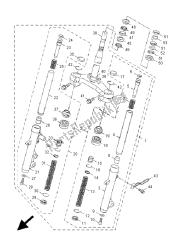 forcella anteriore