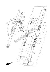 forcella anteriore