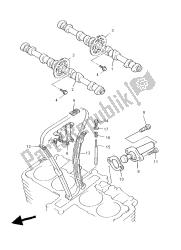 CAMSHAFT & CHAIN