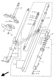 forcella anteriore