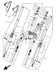 forcella anteriore