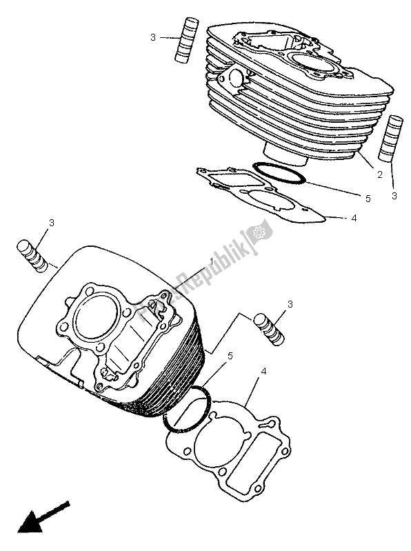 All parts for the Cylinder of the Yamaha XV 250 Virago 1996