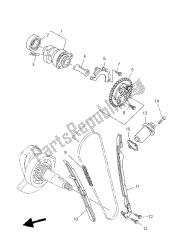 CAMSHAFT & CHAIN