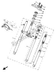 forcella anteriore