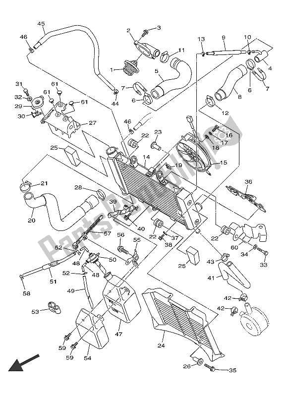 Alle onderdelen voor de Radiator Slang van de Yamaha XJ6 SA 600 2016