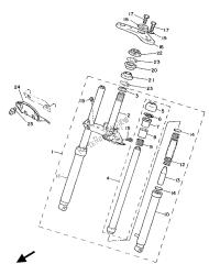 forcella anteriore